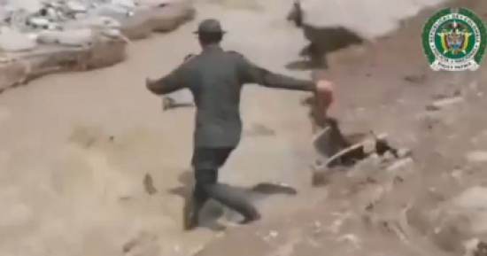 شاهد.. رجال الشرطة ينقذون كلب عن طريق التنفس الاصطناعي