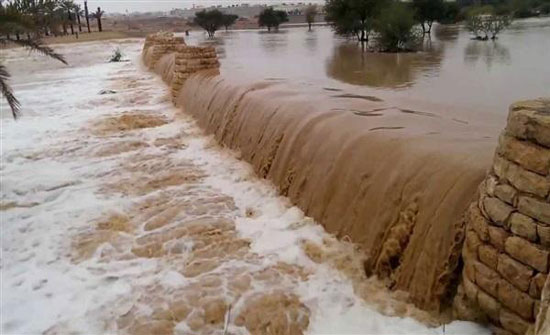 الحكومة في ورطة : لمن تعود جثة البشير بعد فحص الـ DAN الحكومة في ورطة : لمن تعود جثة البشير بعد فحص الـ DAN