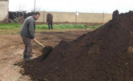 ضبط 7 شاحنات محملة بسماد عضوي غير معالج ضبط 7 شاحنات محملة بسماد عضوي غير معالج