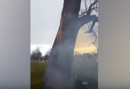 حدث غريب.. شاهد ماذا حدث لشجرة داخل مقبرة ضربتها صاعقة! حدث غريب.. شاهد ماذا حدث لشجرة داخل مقبرة ضربتها صاعقة!