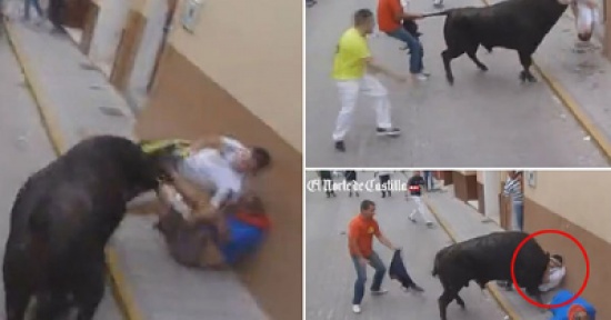 ثور يسحل مسئولا إسبانيا