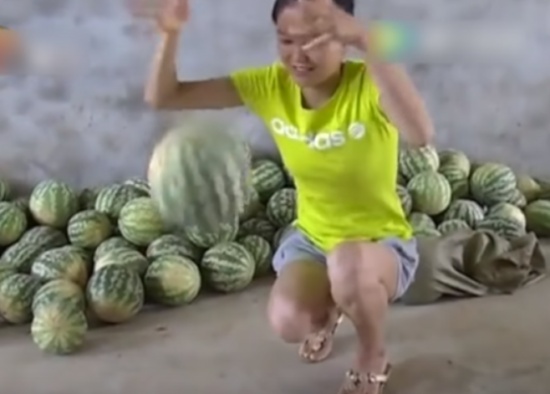 فيديو| صدق أو لا تصدق ..بطيخ غير قابل للكسر!!!