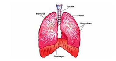 سرطان الرئة يختلف بين المدخنين وغير المدخنين4