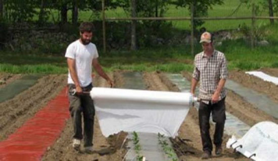 خبراء في مجال الزراعة يحددون المشاكل التي تواجه قطاع الزراعة في الاردن