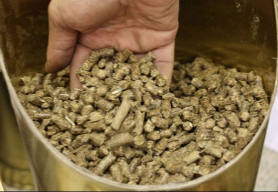 مربو الابقار يلوحون بالتصعيد احتجاجا على نقص الاعلاف