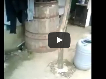 شاهد.. 4 شباب يقطعون ذيل كلب بالفأس