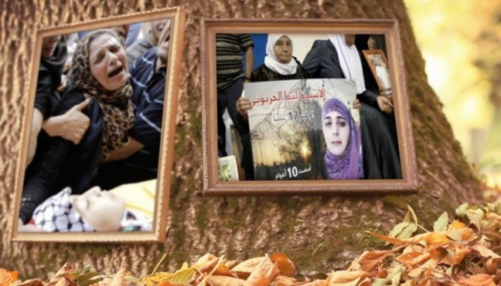 فيديو: في يوم الأم العالمي.. إطلاق أغنية “يامو” تكريماً للأم الفلسطينية والعربية الصابرة فيديو: في يوم الأم العالمي.. إطلاق أغنية “يامو” تكريماً للأم الفلسطينية والعربية الصابرة