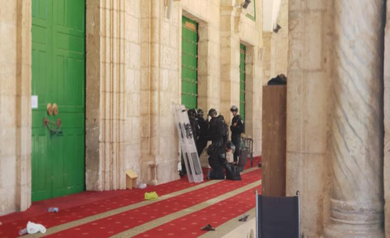 الأردن يدين استمرار الانتهاكات والاستفزازات الإسرائيلية ضد المسجد الأقصى الأردن يدين استمرار الانتهاكات والاستفزازات الإسرائيلية ضد المسجد الأقصى