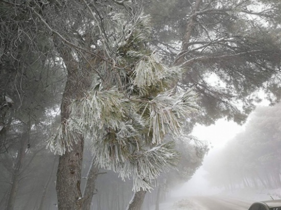 ثلوج خفيفة في المزار الشمالي