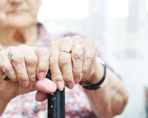 مبادرة (لمسة حنان) لرعاية المسنين في الطفيلة