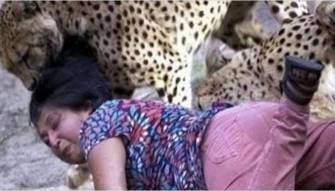 بالفيديو - شاهد: أخطر هجمات الحيوانات المفترسة على البشر