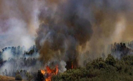 10 حرائق تندلع في مستوطنات غلاف غزة بفعل بالونات حارقة 10 حرائق تندلع في مستوطنات غلاف غزة بفعل بالونات حارقة