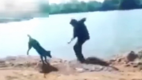 شاهد..  حفر حفرة لكلب فوقع فيها