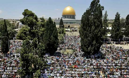 65 ألفا يؤدون صلاة الجمعة في المسجد الأقصى 65 ألفا يؤدون صلاة الجمعة في المسجد الأقصى