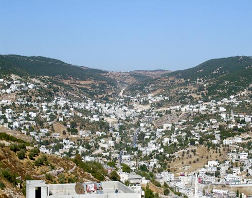 التنمية توزع مساعدات في عجلون