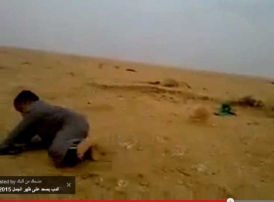 سقوط مضحك بسبب سلاح