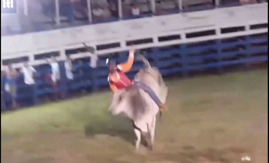 بالفيديو.. ثور هائج يسحق راكبه