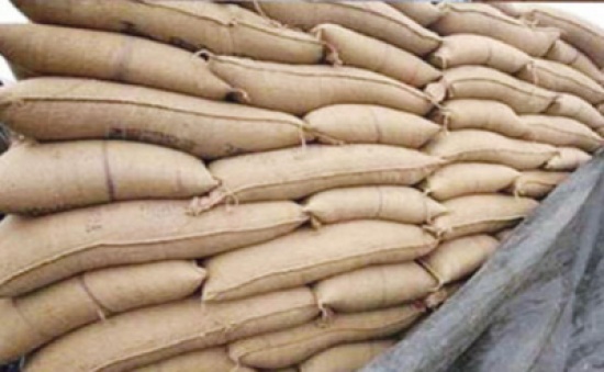 منع إدخال 80 طن "قمح إسرائيلي" إلى الأردن لاحتوائها حشرات