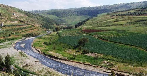 عقب اشاعة بوجود الطفل ورد بداخله .. نعش فارغ في سيل الزرقاء والامن يكشف اللغز(محدث) عقب اشاعة بوجود الطفل ورد بداخله .. نعش فارغ في سيل الزرقاء والامن يكشف اللغز(محدث)