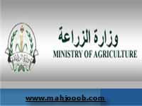 اعفاء الصادرات الزراعية الاردنية الى اوروبا من الجمارك اعفاء الصادرات الزراعية الاردنية الى اوروبا من الجمارك