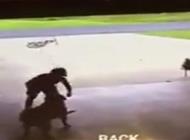 بالفيديو: لماذا يتسلل هذا الطفل إلى منزل جيرانه كل يوم؟