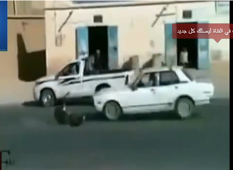 حمار يتجاوز سيارة بمهارات كروية