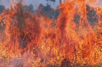 في اربد..صاحب مصنع يحاول احراق مستودعه ليتقاضى بوليصة التأمين