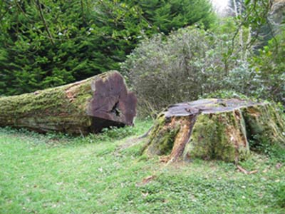 مواطن يعتدي بالضرب على طواف في عجلون 