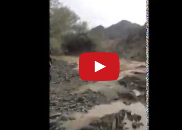 شاب يقود مياه السيول بطريقة الطابور العسكري