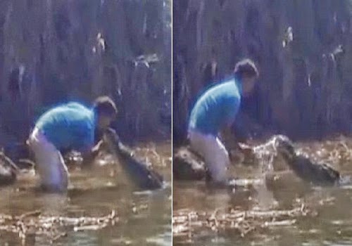 فيديو: رجل يخاطر بحياته ليقبل تمساحًا فيديو: رجل يخاطر بحياته ليقبل تمساحًا
