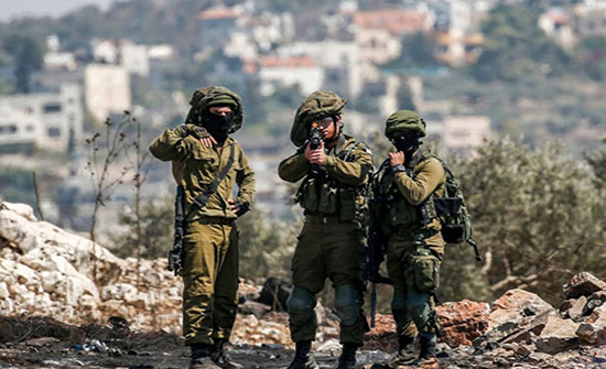 جنرال إسرائيلي: لن ننجح بتصفية القضية الفلسطينية عسكريا