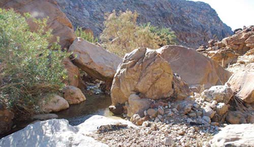 محمية حمرة ماعين تروي قصة الطبيعة الجميلة 