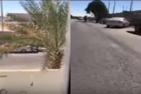 شاهد..  يحاول قطع شجرة من الطريق العام