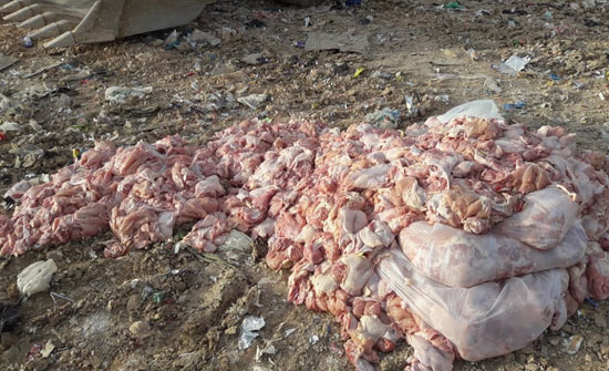 ضبط طن من الدجاج المسحب الفاسد في مأدبا ضبط طن من الدجاج المسحب الفاسد في مأدبا