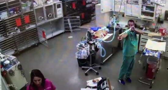 شاهد.. مزحة من طبيب تجاه ممرضة تنقلب ضده