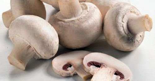 فطر عيش الغراب يقوى المناعة ويقاوم السرطان ويحارب السمنة فطر عيش الغراب يقوى المناعة ويقاوم السرطان ويحارب السمنة
