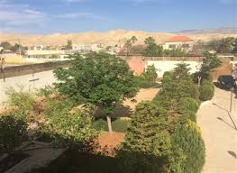 تخريج دارسين في مركز محو امية بالشونة الجنوبية