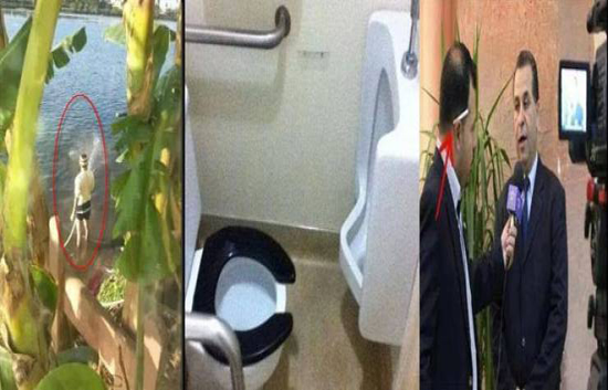 صور| أخطاء كارثية أم فوتوشوب!