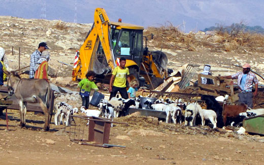 هدم منشآت زراعية وصناعية بالعيسوية لإنشاء حديقة للمستوطنين
