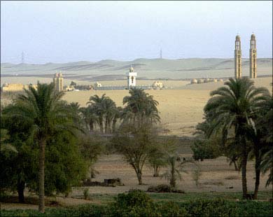 مصر تعتزم تأجير أراض للزراعة مصر تعتزم تأجير أراض للزراعة