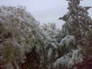 المملكة تتأثر بالمنخفض الجوي .. وتستعد لاستقبال الزائر الابيض (محدث)