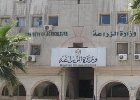 منح 320 رخصة استثمار اشجار في عجلون