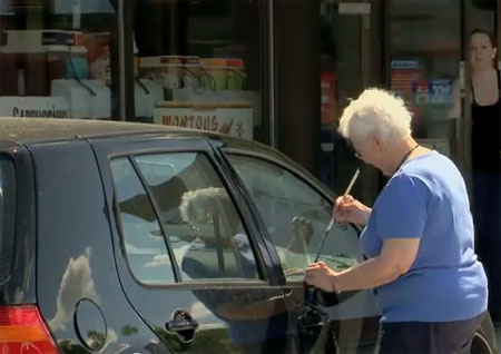 اللصة المسنة