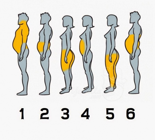 أي جزء من جسمكم أكثر سمنة؟ اليكم الحل المثالي أي جزء من جسمكم أكثر سمنة؟ اليكم الحل المثالي