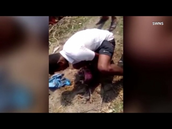 فيديو| لقطات مرّوعة لأبوين يدفنان رضيعة على قيد الحياة فيديو| لقطات مرّوعة لأبوين يدفنان رضيعة على قيد الحياة