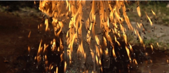 شاهد.. انفجار 6000 من أعواد الثقاب بالحركة البطيئة