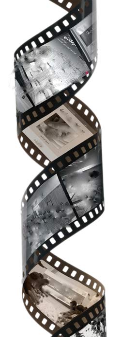 بدء فعاليات سينمائيات في بيت الأفلام