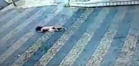 فيديو| لقطات مروعة لطفلة تسقط من الطابق الثاني بمبنى سكني ! فيديو| لقطات مروعة لطفلة تسقط من الطابق الثاني بمبنى سكني !