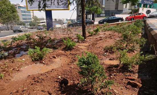 الأمانة:  تطوير 70 حديقة خلال الاعوام الثلاثة المقبلة