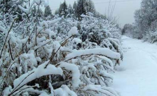 توقعات بانتهاء موجة البرد القارص الثلاثاء